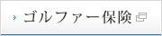 �S���t�@�[�ی�